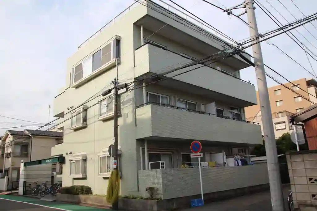 ほうれんそう 外観